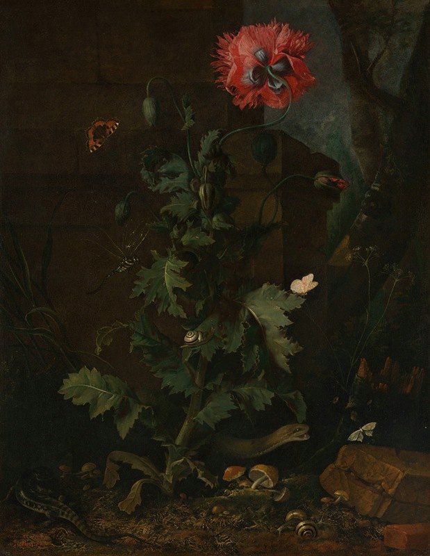 奥托·马修斯·范·施里克的《罂粟、昆虫和爬行动物的静物画》`Still Life with Poppy, Insects, and Reptiles (ca. 1670) by Otto Marseus van Schrieck