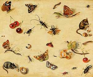 动植物`
Flora and Fauna (19th Century)  by Dutch School