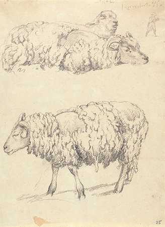 剪毛`The Shearing by Robert Hills