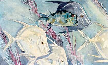 月鱼`Moonfishes (1929~1932) by Stephen Haweis