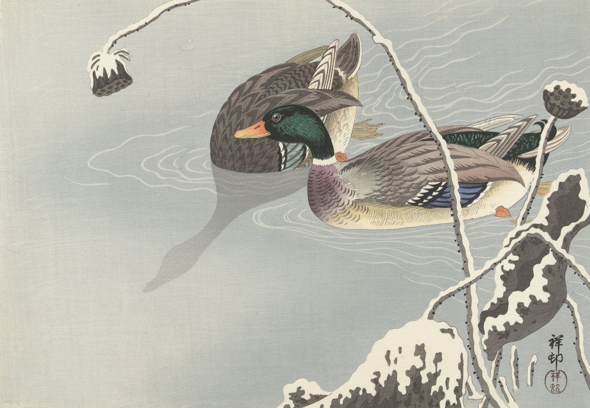 两个野鸭靠近一朵白雪覆盖的莲花，`Two Mallards near a Snow~Covered Lotus, (1925 ~ 1936) by Ohara Koson