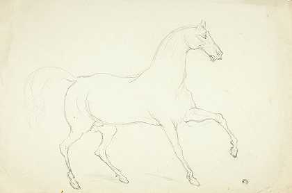 种马`Stallion by Abraham Cooper