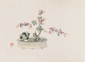 盆景卡本祖，Pl.27`
Bonsai kabenzu, Pl.27 (1868~1912)