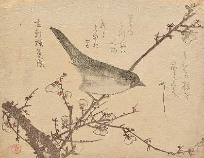 梅花枝上的莺`Warbler on plum branch (ca. 1806–8) by Kubo Shunman