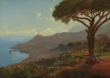 马德拉岛上Funchal的脸。`Utsikt over Funchal på Madeira (1853) by Johan Fredrik Eckersberg
