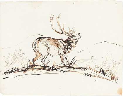 吼叫的牡鹿`A Bellowing Stag (probably 1840~1850) by Sir Edwin Henry Landseer