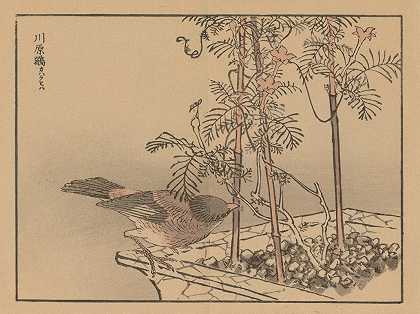 拜里·加夫，第30页`Bairei gafu, Pl.30 (1905) by Kōno Bairei
