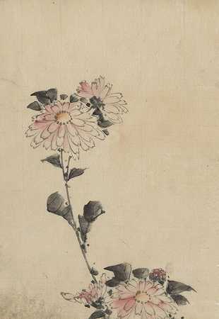 低茎上开粉红色花朵，高茎上开两朵`Pink flower blossoms on low stalk and two on a tall stalk (1830~1850) by Katsushika Hokusai