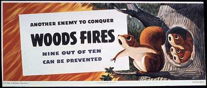 另一个敌人征服了森林大火。十有八九是可以预防的`Another enemy to conquer woods fires. 9 out 10 can be prevented (1941~1945)