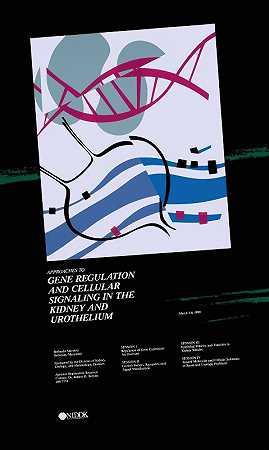 基因调控方法肾脏中的细胞信号传导尿路上皮`Approaches to gene regulation & cellular signaling in the kidney & urothelium (1990) by National Institutes of Health