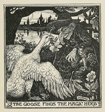 鹅吃了一种神奇的药草`The Goose fnds the Magic Herb (1906) by Henry Justice Ford