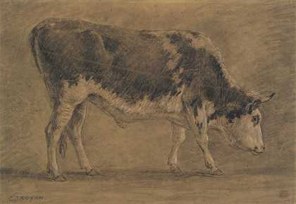 美洲牛`American Ox by Constant Troyon