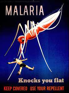 疟疾会把你击倒`
Malaria knocks you flat