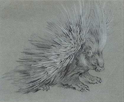 豪猪`Porcupine (1730s) by Jean-Baptiste Oudry