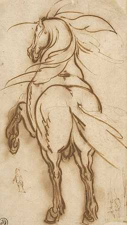 饲养马的研究`Study of a Rearing Horse (1616) by Jacques Callot