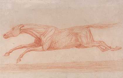 研究正在运动的赛马“向左飞奔”是一项半解剖学研究，通过剥皮来显示肌肉的活动`Study of a Racehorse in Action; Galloping to Left, a Semi~Anatomical Study, with Skin Flayed to Show Action of Muscles by George Stubbs