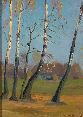 村庄附近的桦树`Birch trees near a village (1906) by Teodor Ziomek