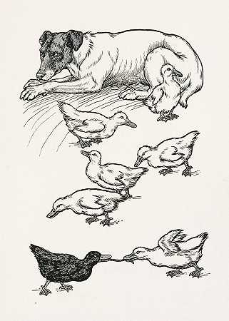 百家争鸣动物轶事pl 065`A hundred anecdotes of animals pl 065 (1901) by Percy J. Billinghurst