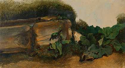 井槽附近的叶状植物`Blattpflanzen bei einem Brunnentrog (ca. 1830–1840) by Friedrich August Matthias Gauermann