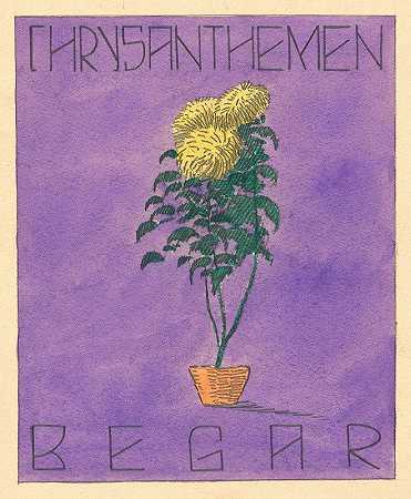 蝴蝶`Chrysanthemen Begar (1919~1920) by Karl Wiener
