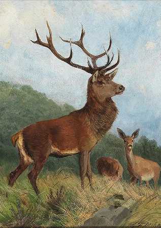 占优势的雄鹿`A Dominant Stag by Carl Friedrich Deiker