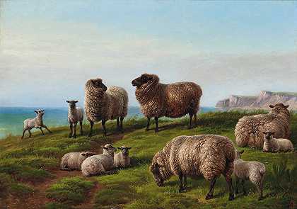 在岬角上吃草的羊`Sheep grazing on a headland by Charles Jones