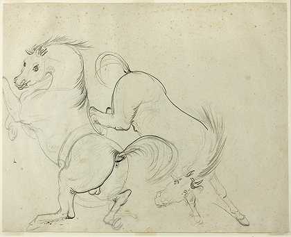 两匹马在跳跃`Two Horses Cavorting (1778~1836) by Carle Vernet
