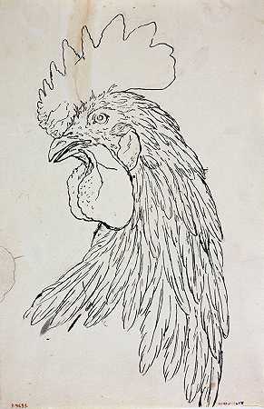 公鸡研究`Etude de coq (1735 ~ 1814) by Guillaume Boichot