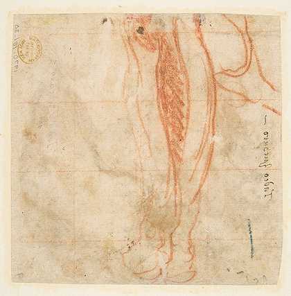 腿的草图`Sketch of a Leg (1529–66) by Taddeo Zuccaro