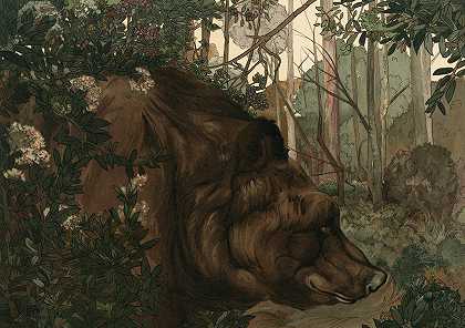 森林里的巴鲁`Baloo In The Forest (1903) by Maurice And Edward Detmold
