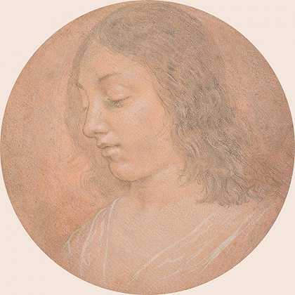 一个年轻女子的头`Head of a Young Woman (late 15th–early 16th century) by Lorenzo di Credi