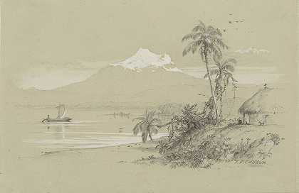 马格达莱纳河，新格拉纳达，厄瓜多尔`Magdalena River, New Granada, Equador (1853) by Frederic Edwin Church