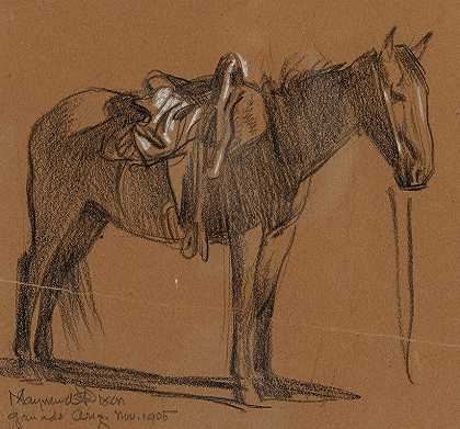 马学`Horse Study (1905) by Maynard Dixon