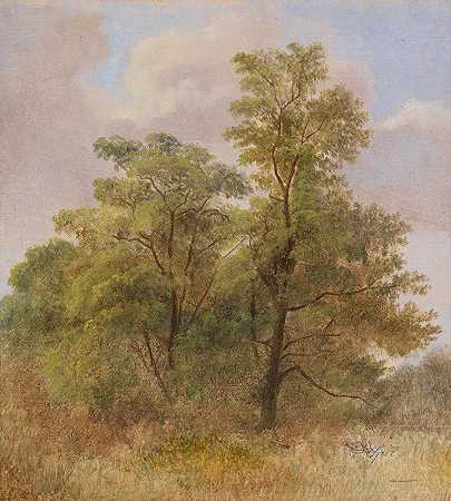 树木研究`Baumstudie (Ca. 1831~1835) by Carl Spitzweg