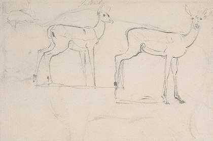 两只站立的帕拉鹿的研究`Study for Two Standing Pallah Deer (ca. 1802) by Samuel Daniell