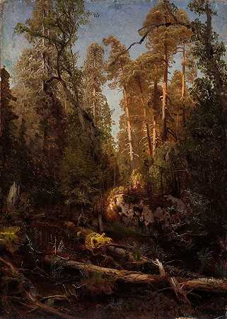 森林研究`Forest Study (1851) by August Cappelen