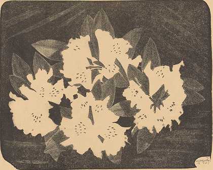 杜鹃花`Rhododendron by Samuel Jessurun de Mesquita