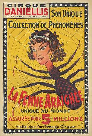 蜘蛛女人`La Femme Araignée