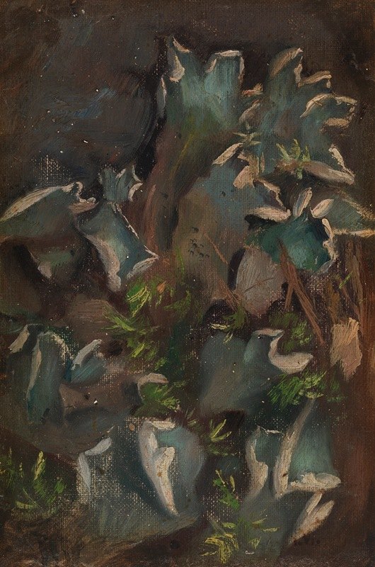 苔藓`Lichen (1895 ~ 1896) by Torsten Wasastjerna