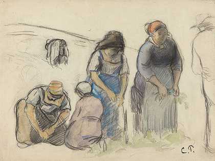 豌豆收获机（recto）`Pea Harvesters (recto) (c. 1880) by Camille Pissarro