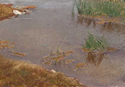 浅水区`Shallow Water (1906) by Bruno Liljefors