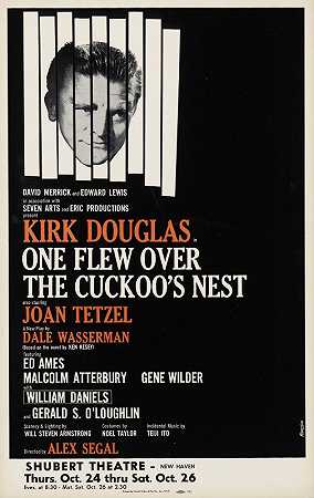一只飞过布谷鸟鸟巢`One flew over the cuckoos nest (1963) by Artcraft Lithograph