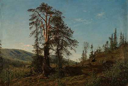 我是Vingeråsheia Telemark`I Vingeråsheia, Telemark (1866) by Amaldus Nielsen