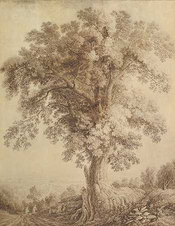 阿尔巴诺的一棵大树`A Large Tree at Albano (1782) by Jakob Philipp Hackert