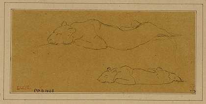 两项关于延长豹的研究`Deux études de panthère allongée (19th century) by Antoine-Louis Barye