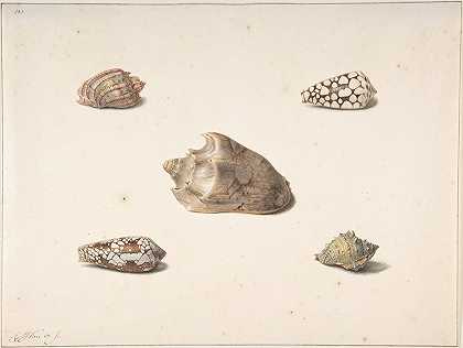 五枚炮弹`Five Shells by Georgius Jacobus Johannes van Os
