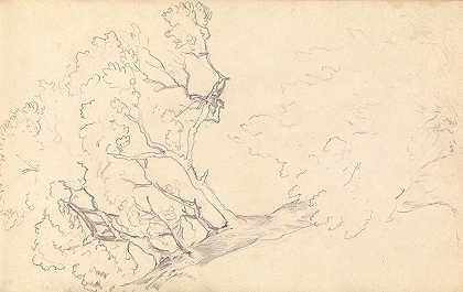 大树图`Sketch of a Large Tree by Thomas Bradshaw