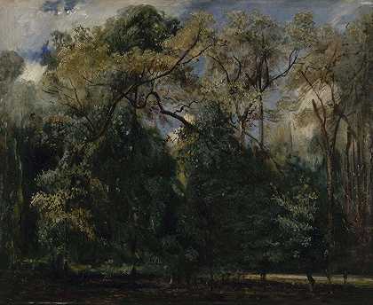 圣云榆树`Les ormes de Saint~Cloud (1823) by Paul Huet
