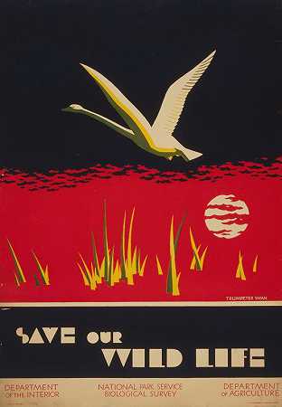 拯救我们的野生动物`Save our wild life (1930~1940) by Dorothy Waugh