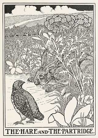 兔子和鹧鸪`The Hare and the Partridge (1900) by Percy J. Billinghurst